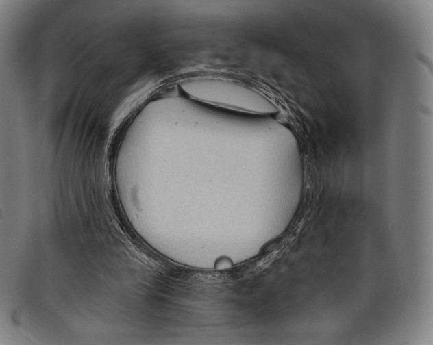 X0000097750245200804041109