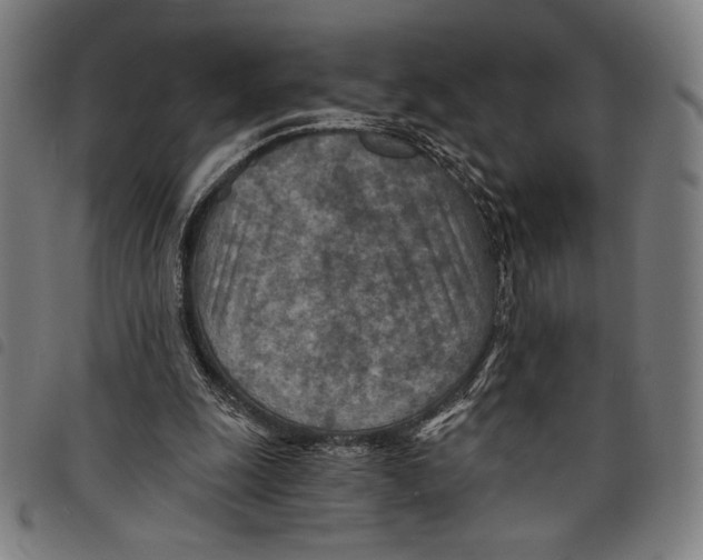 X0000097750247200804041109