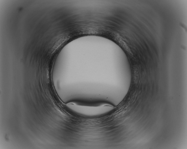 X0000097750251200804041109