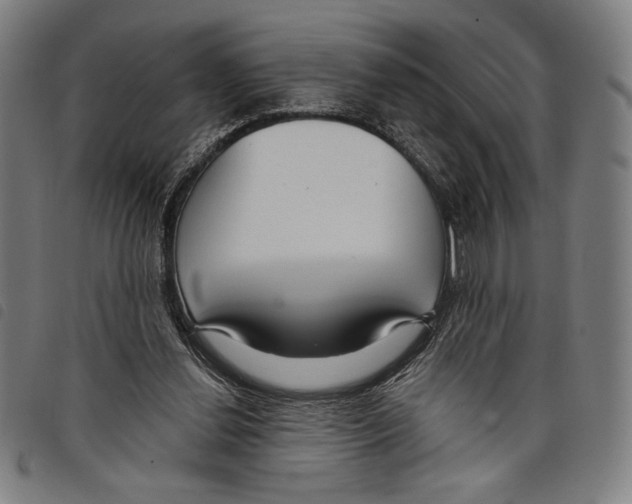 X0000097750252200804041109