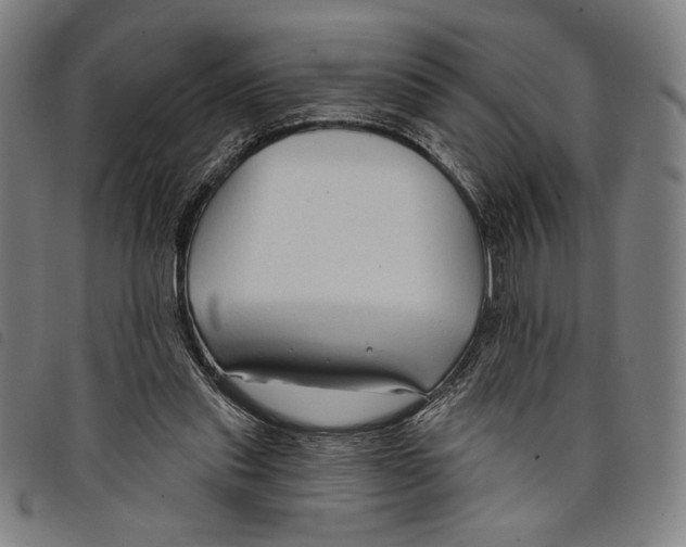 X0000097750253200804041109