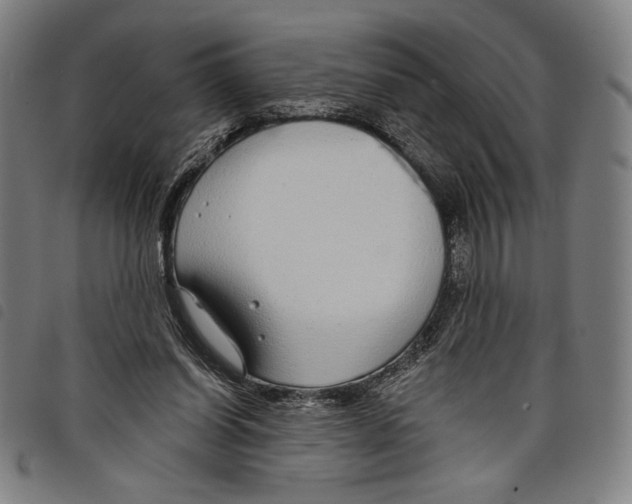 X0000097750254200804041109