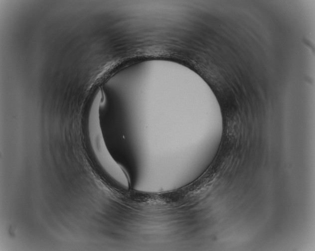 X0000097750256200804041110