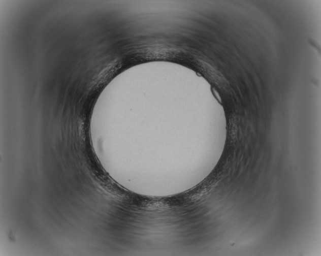 X0000097750258200804041110