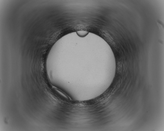 X0000097750259200804041110