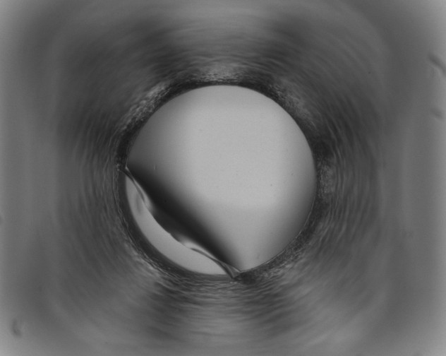 X0000097750260200804041110