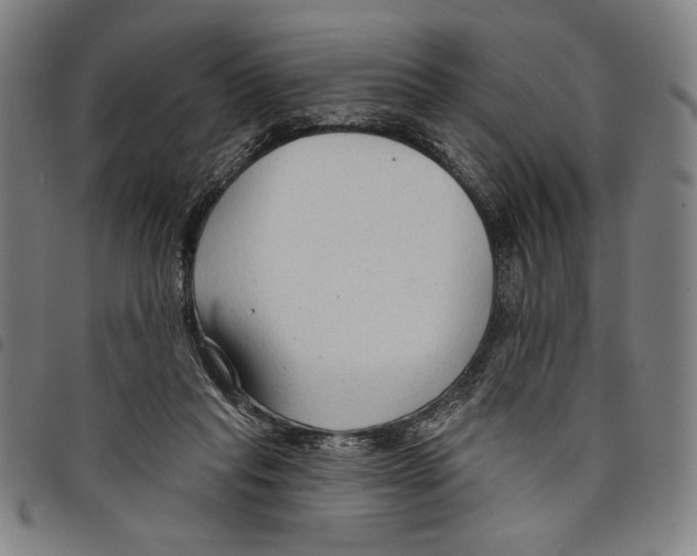 X0000097750261200804041110