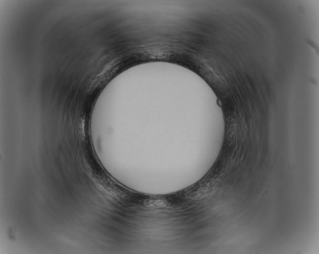 X0000097750262200804041110