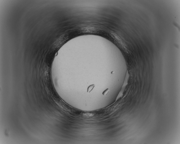 X0000097750265200804041110