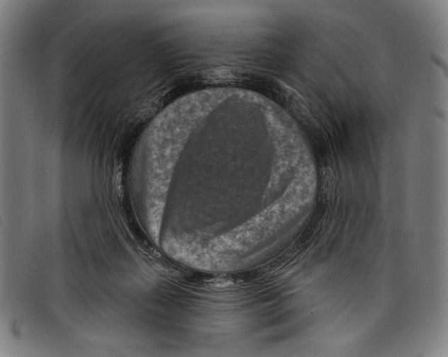 X0000097750267200804041110