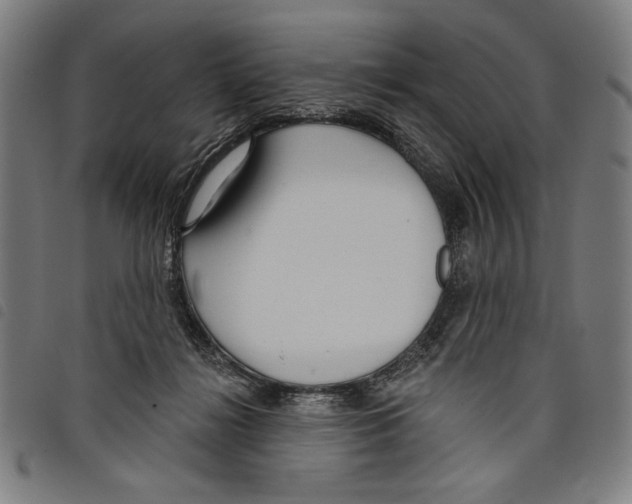 X0000097750268200804041110