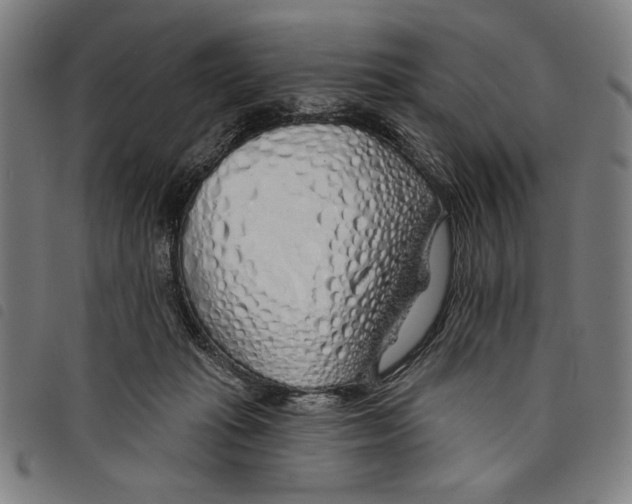 X0000097750269200804041110