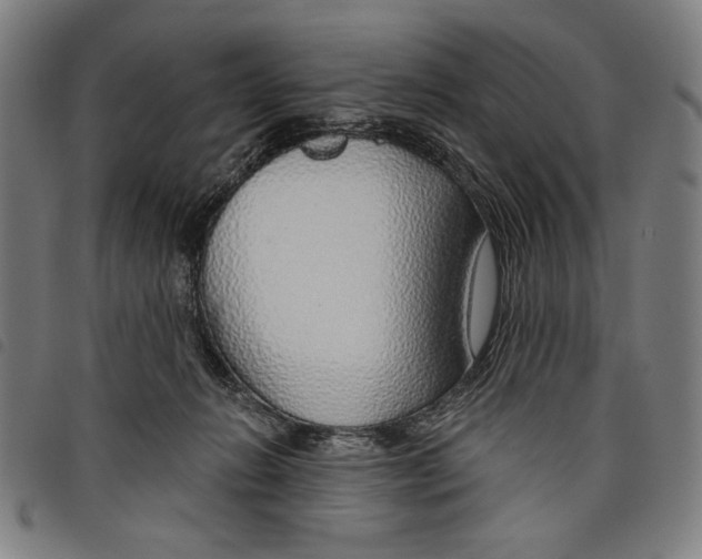 X0000097750270200804041110