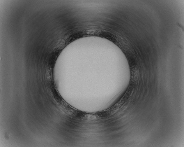 X0000097750272200804041110