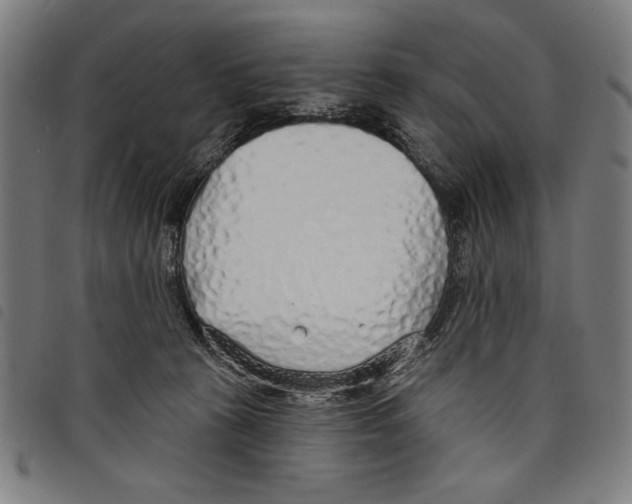 X0000097750273200804041110