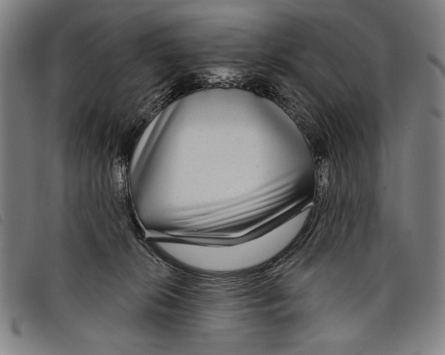 X0000097750276200804041110