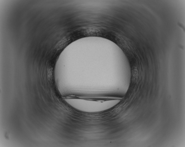 X0000097750278200804041110