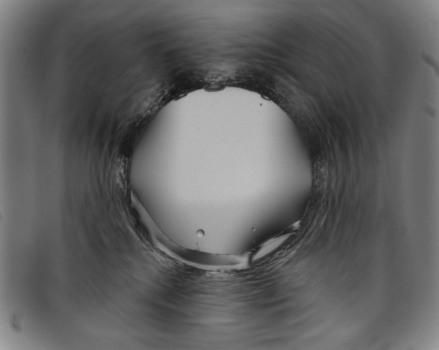 X0000097750280200804041110