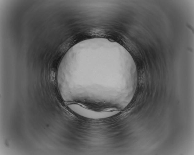 X0000097750281200804041110