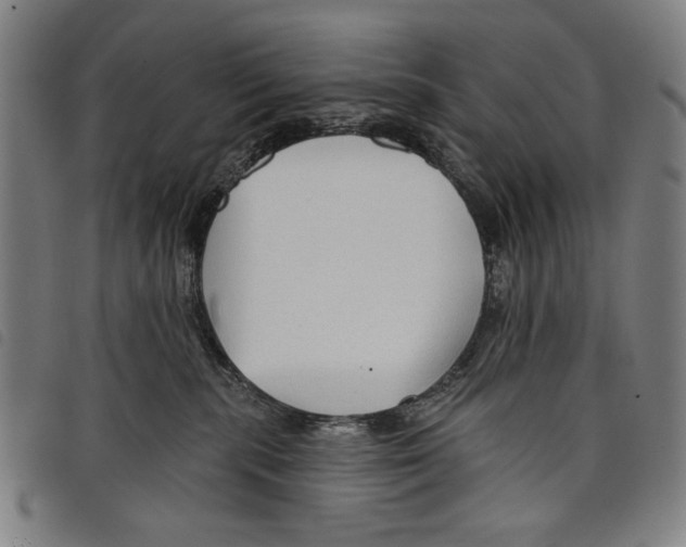 X0000097750283200804041110