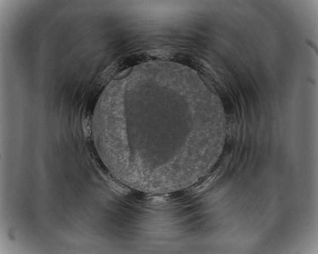 X0000097750285200804041110