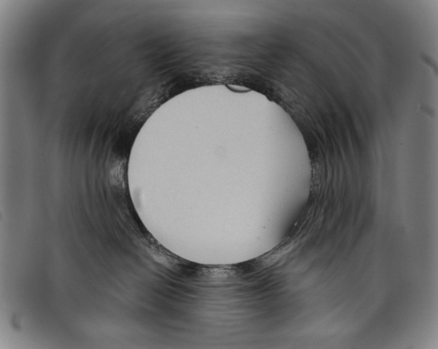 X0000097750286200804041110