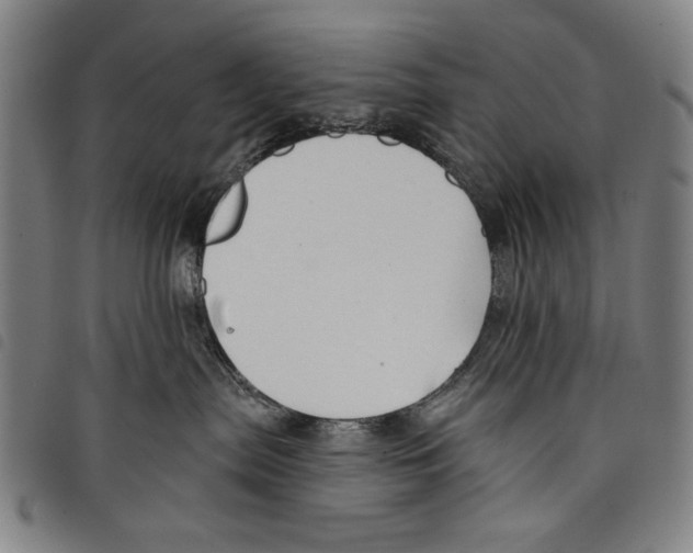 X0000097750287200804041110