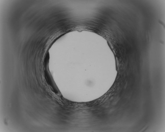 X0000097750289200804041109