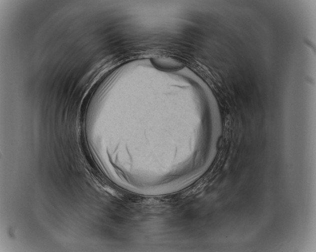 X0000097750290200804041109