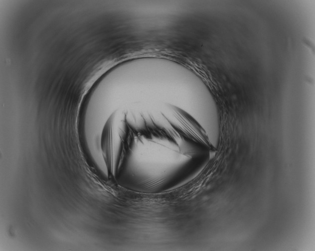 X0000097750292200804041109