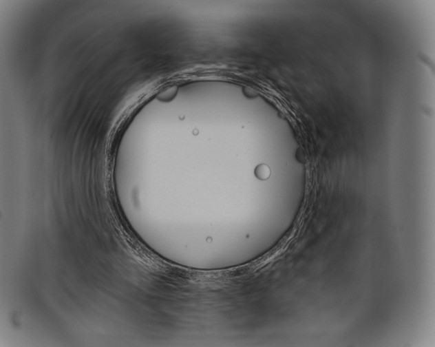 X0000097750293200804041109