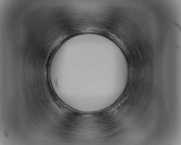 X0000097750298200804041109