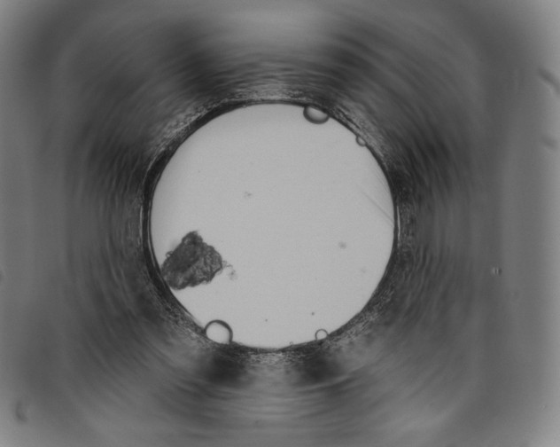 X0000097750301200804041109