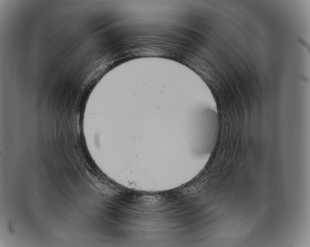 X0000097750302200804041109