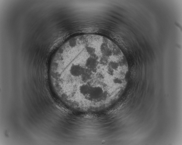 X0000097750303200804041109