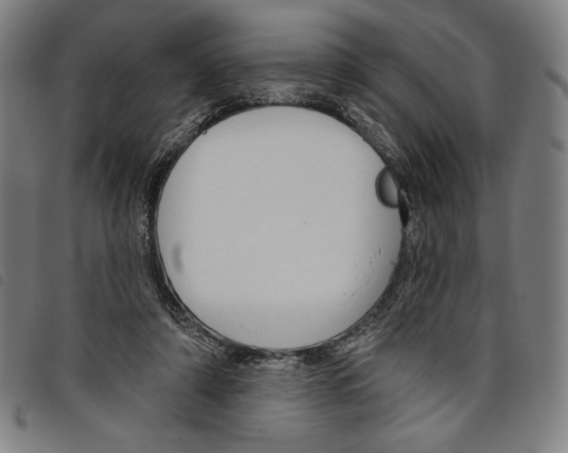 X0000097750306200804041109