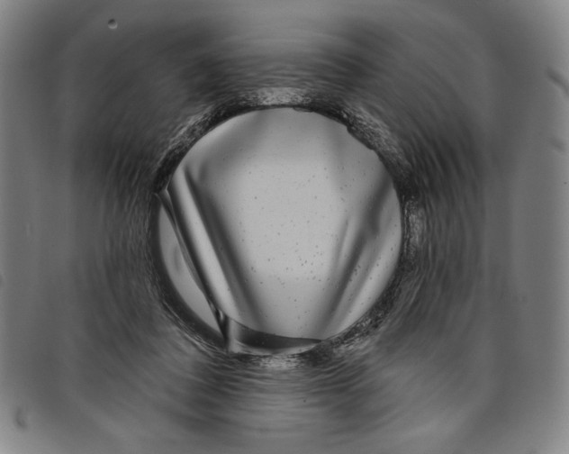 X0000097750308200804041109