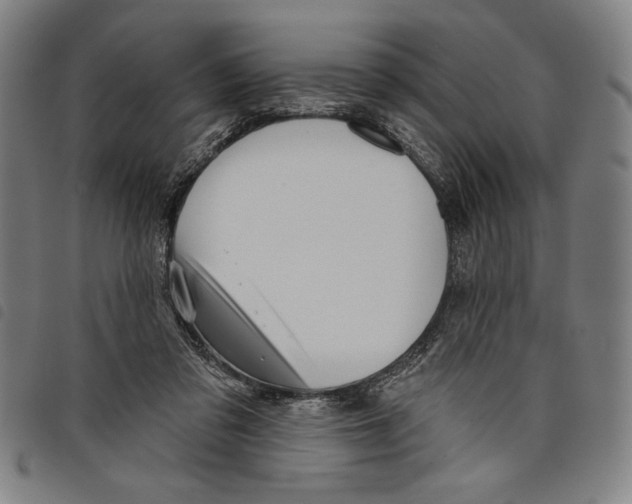 X0000097750309200804041109