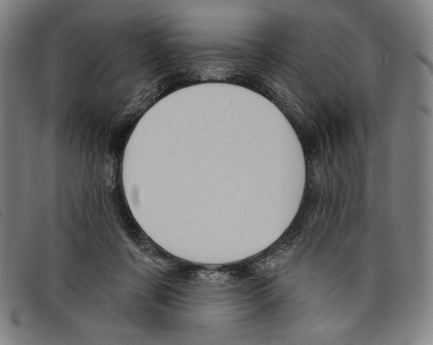 X0000097750311200804041109