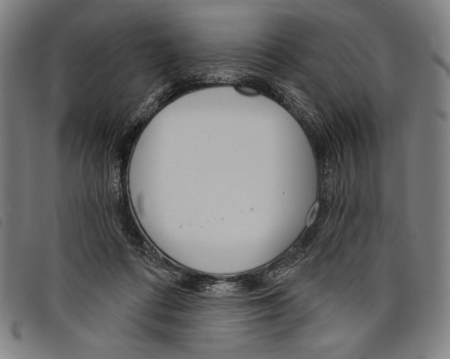 X0000097750312200804041109