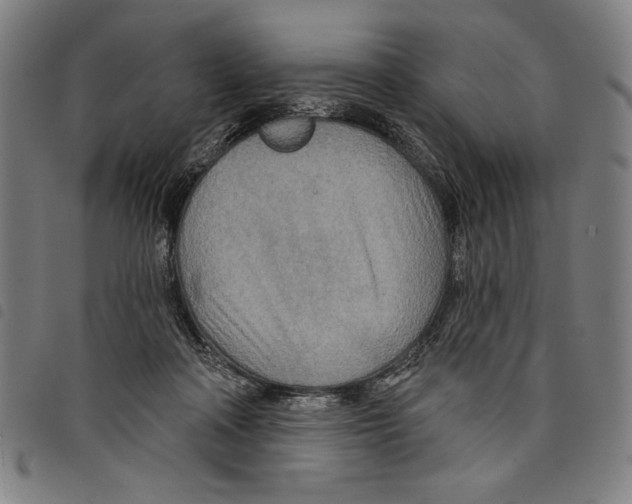 X0000097750314200804041109