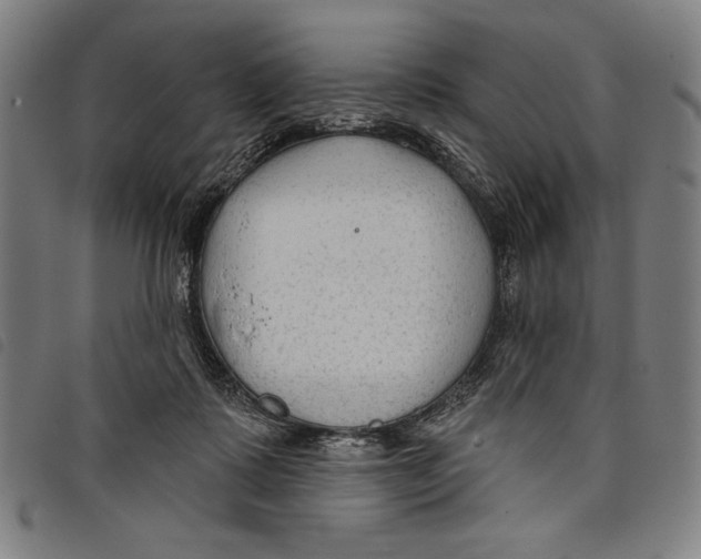 X0000097750315200804041109