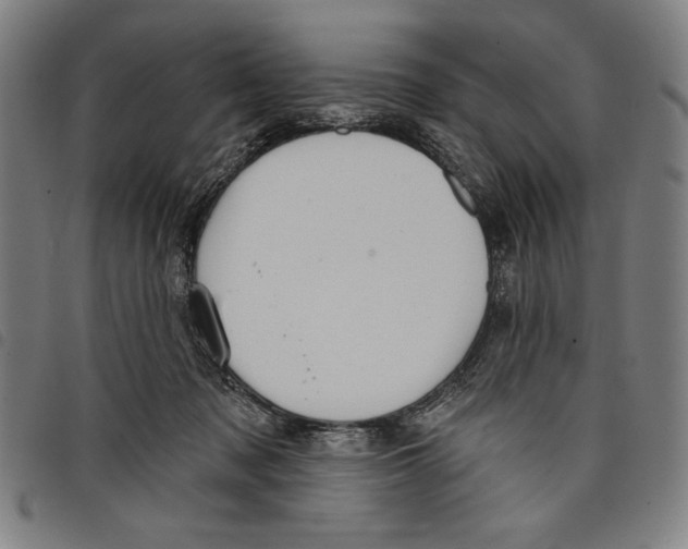 X0000097750317200804041109