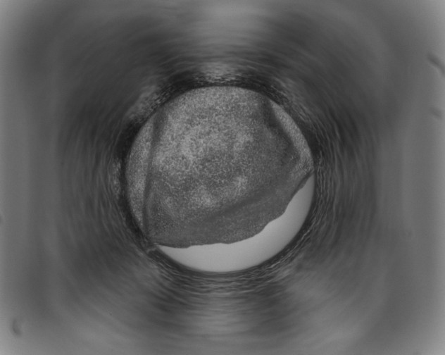 X0000097750319200804041109