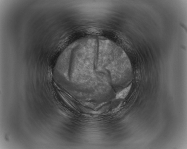 X0000097750320200804041109