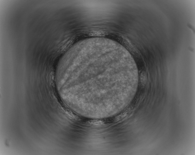 X0000097750322200804041109