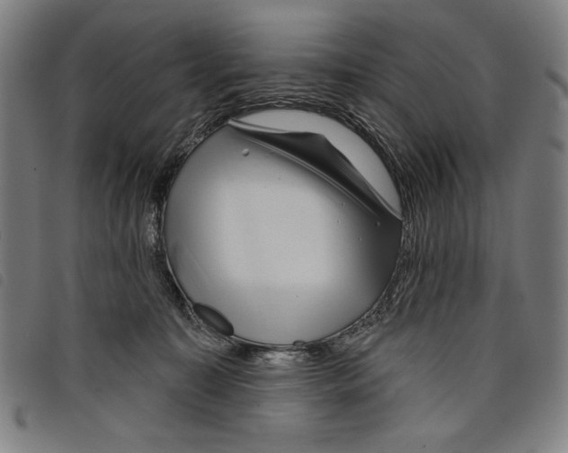 X0000097750323200804041109