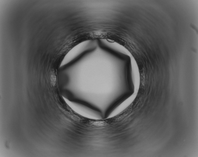 X0000097750324200804041109