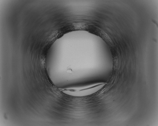 X0000097750329200804041109