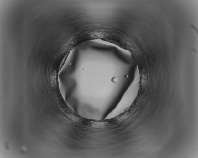 X0000097750332200804041109